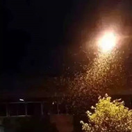 白蟻危害大，4-6月份進入其活躍期 防治白蟻不容忽視！